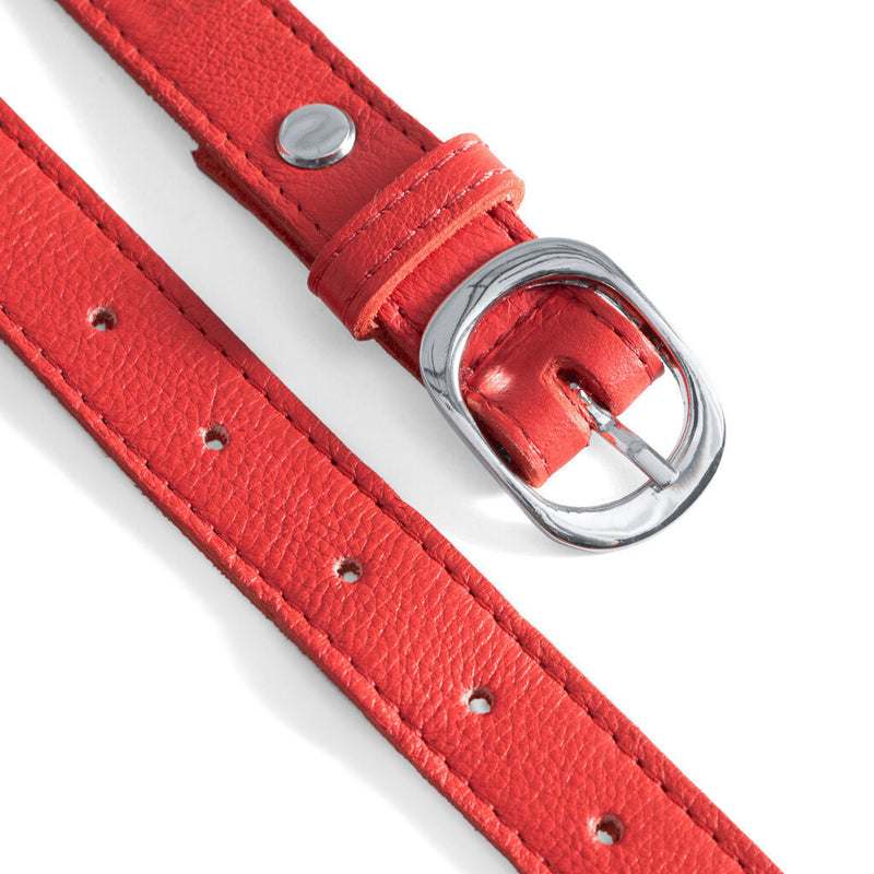 DEPECHE Belts Belts 043 Red